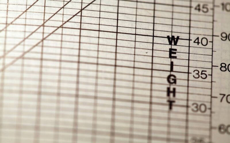 Weight and Balance Sheet