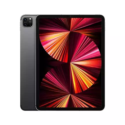 2021 Apple 11-inch iPad Pro (Wi-Fi + Cellular, 256GB)